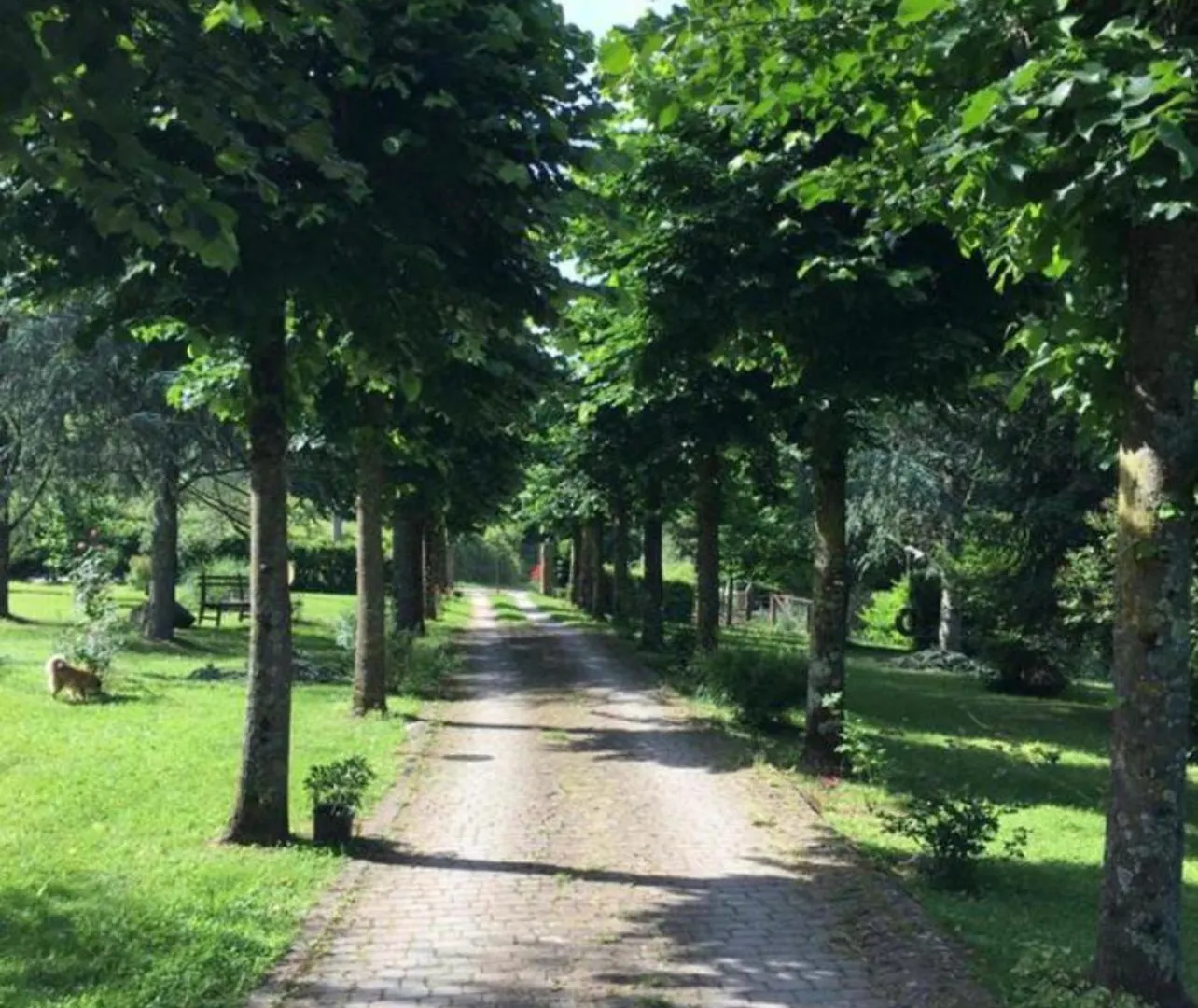 Le Mulina Ristoro Villa Barberino di Mugello Holiday home