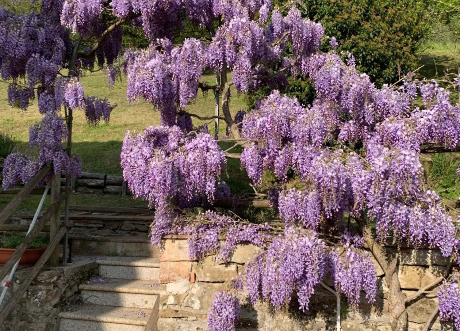Le Mulina Ristoro Villa Barberino di Mugello 0*,  Italy
